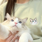 The Custom Embroidered Pet Portrait Sweatshirt