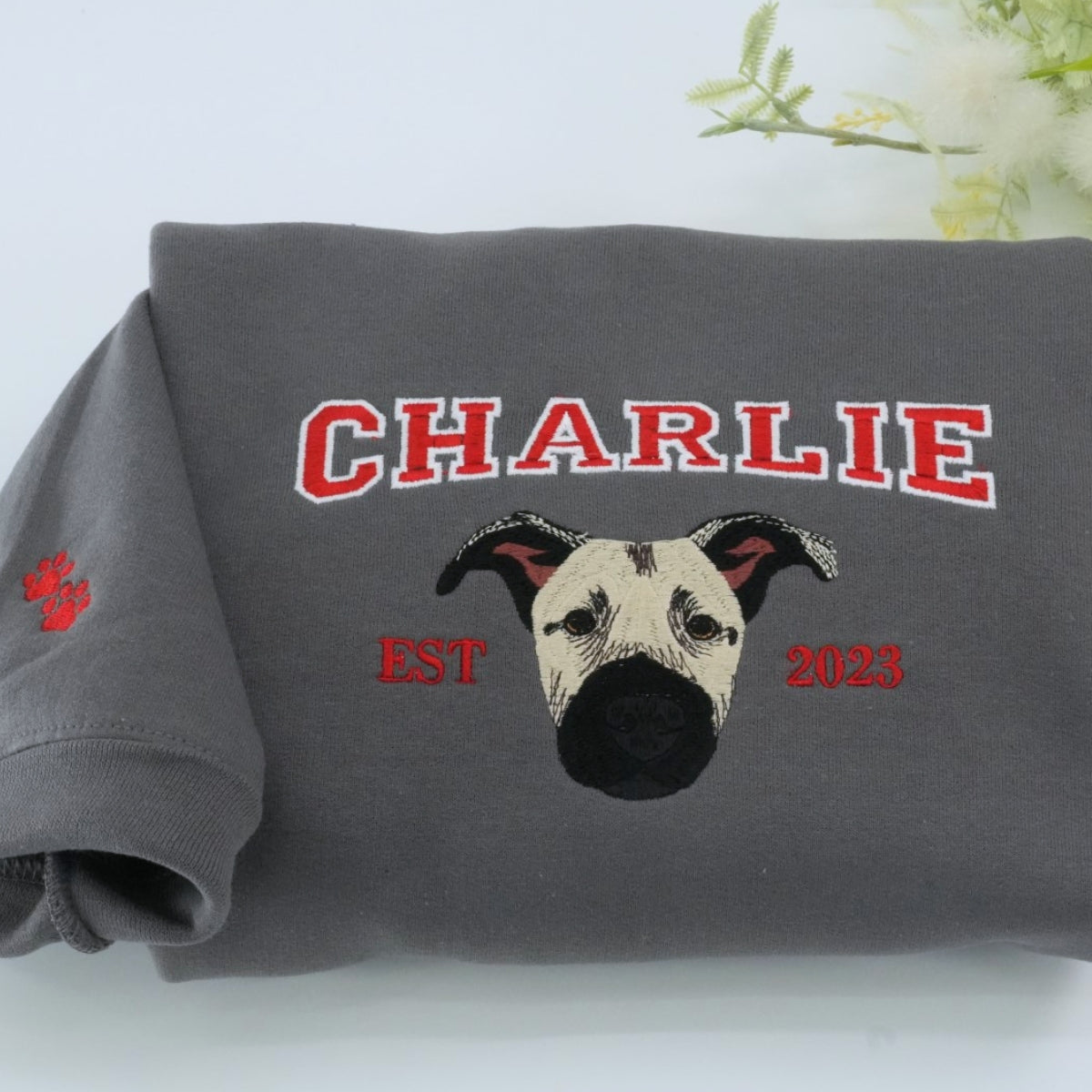 Custom Dog Portrait Varsity Hoodies - Personalized Dog Name Embroidered Sweatshirts - Dog Mom Gift