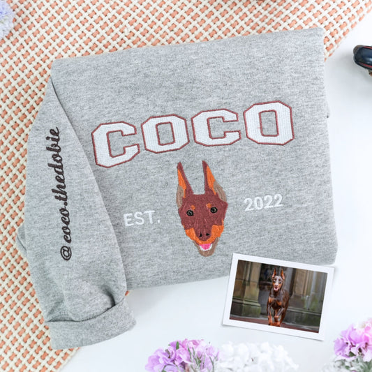 Custom Dog Portrait Varsity Hoodies - Personalized Dog Name Embroidered Sweatshirts - Dog Mom Gift